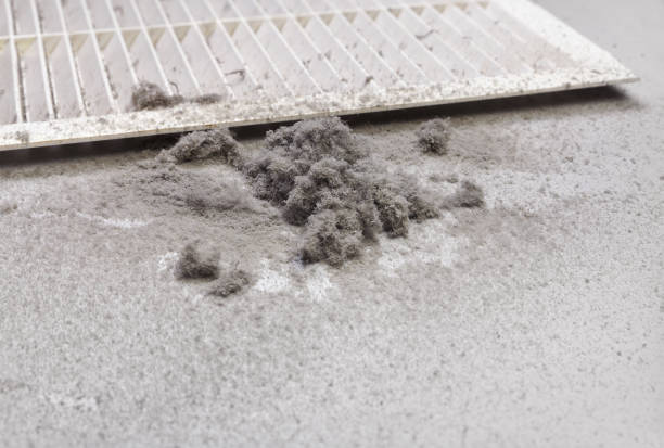 Best Home Air Vent Cleaning  in Hohenwald, TN