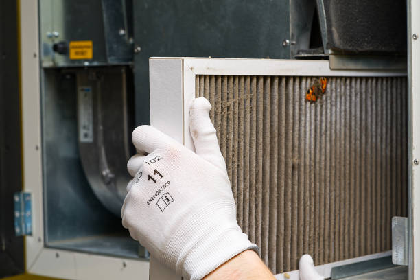 Best HVAC Duct Inspection Services  in Hohenwald, TN