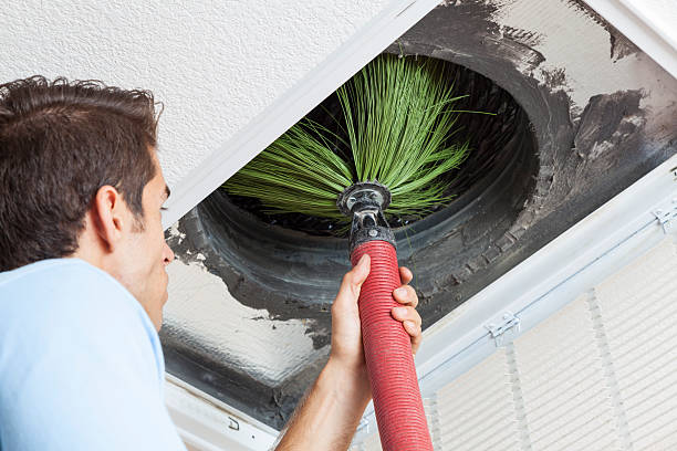 Best Affordable Duct Cleaning Services  in Hohenwald, TN
