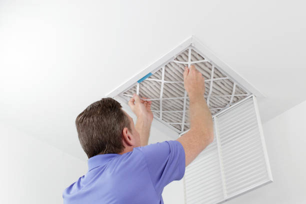 Best Ductwork Cleaning Services  in Hohenwald, TN